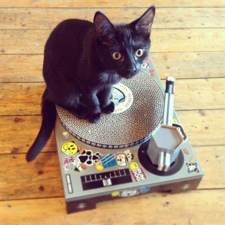 DJ Scratch Pad For Cats Swag Vibe