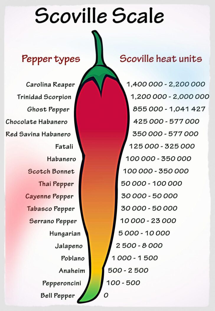 hottest gummy bear in the world scoville units